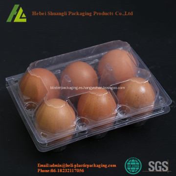 Bandejas de huevos de gallina de plástico transparente